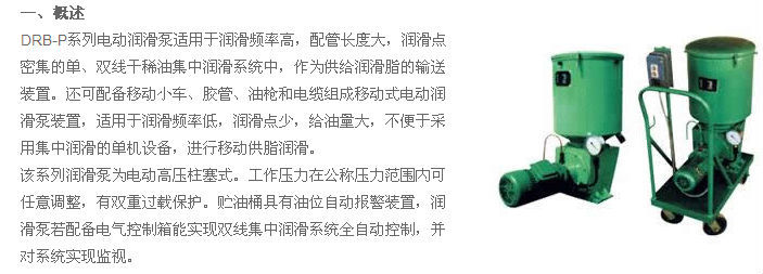 DRB-P系列電動(dòng)潤滑泵及裝置 DRB-P系列電動(dòng)潤滑泵及裝置